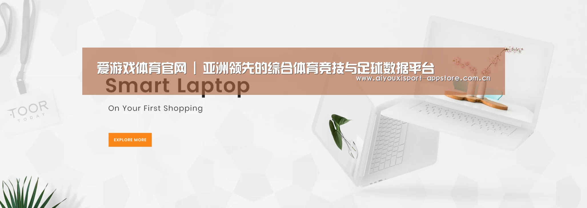 某某网络科技有限公司